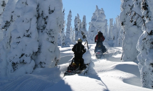 snowmobiling Source: www.allsummitcounty.com