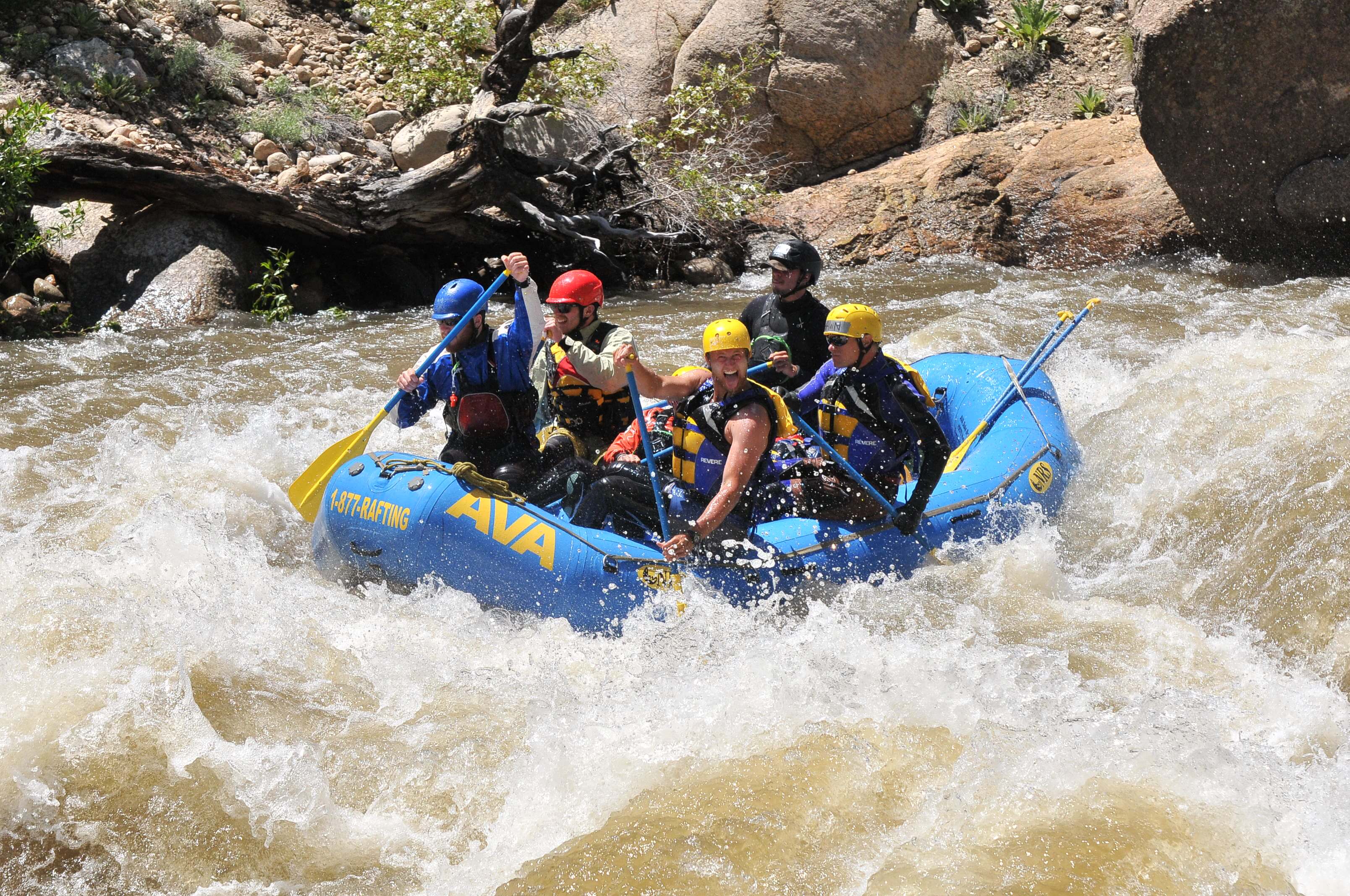 Family Rafting Trips in Colorado