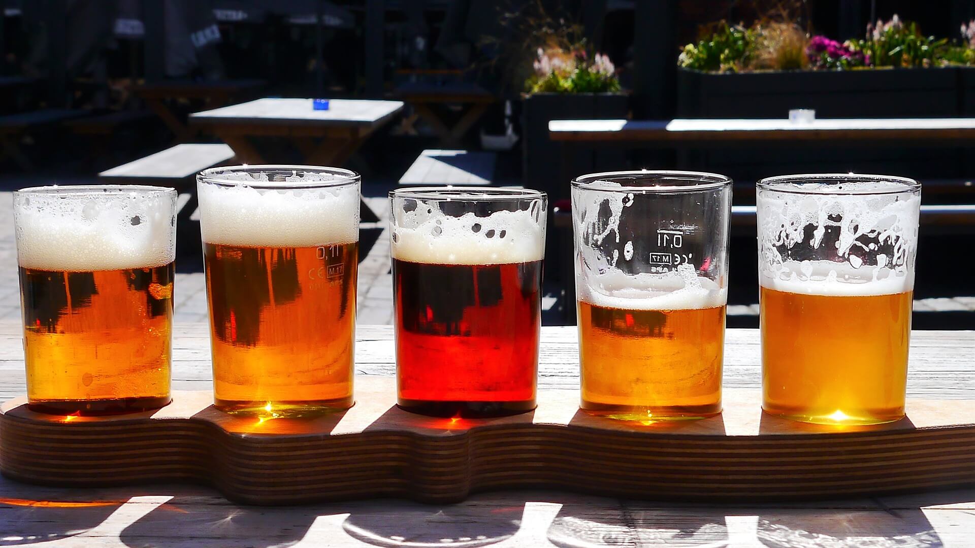 Best Summer Beers in Colorado