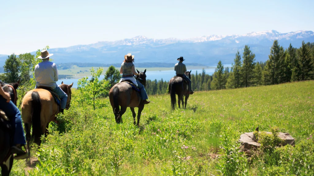 Horseback riding in the Colorado mountains.