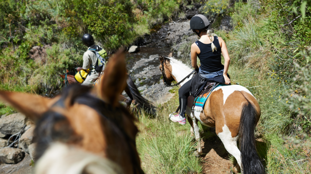 group of three horseback riding over stream