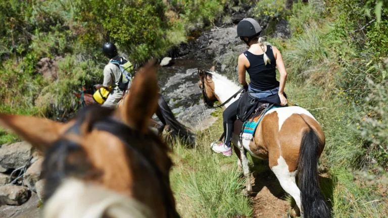 best rafting trips in idaho