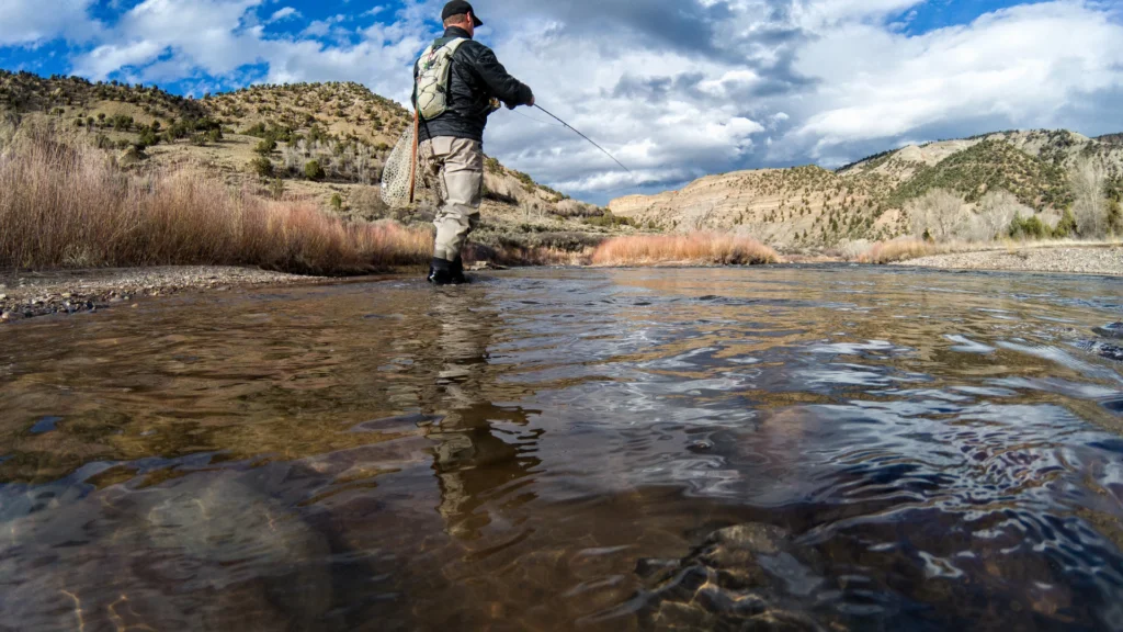 Man fly fishing in a Colorado mountain stream.
