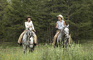 Mt. Princeton Waterfall Horseback Ride