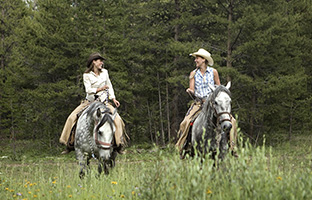 Mt. Princeton Colorado Horseback Ride