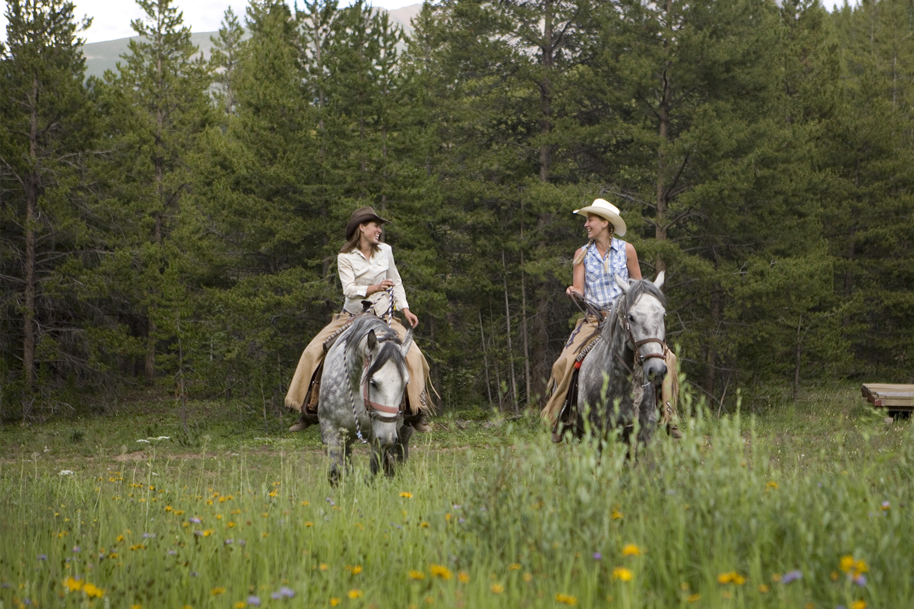 Horseback Riding Colorado