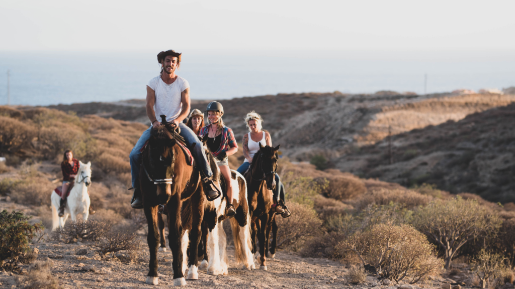 Guided horseback riding trip in Colorado.