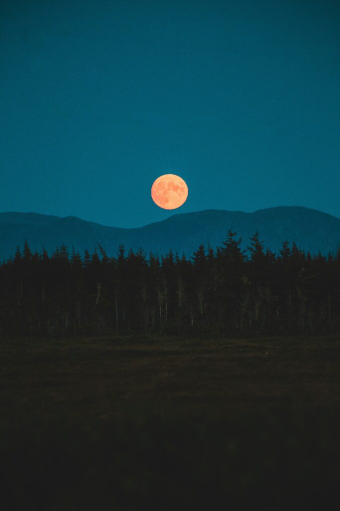 full moon above the mountains and treetops