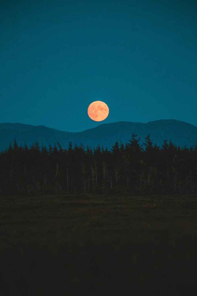 full moon above the mountains and treetops