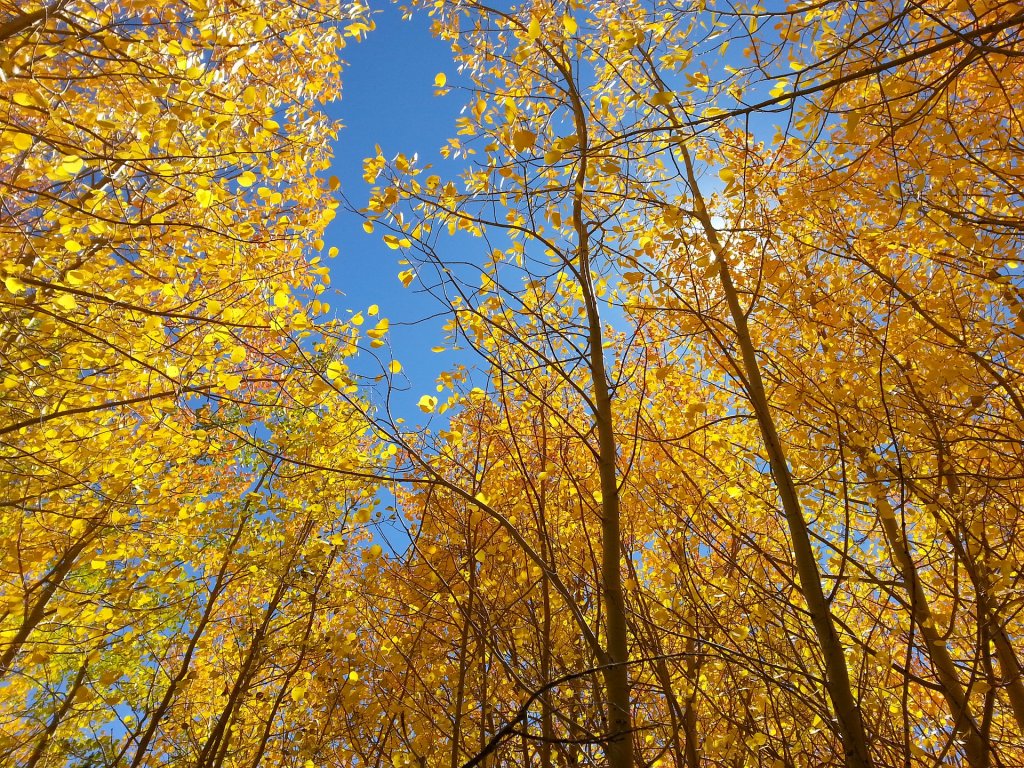 Idaho Springs Colorado Fall