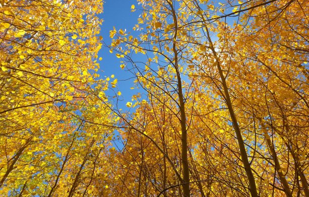 Idaho Springs Colorado Fall