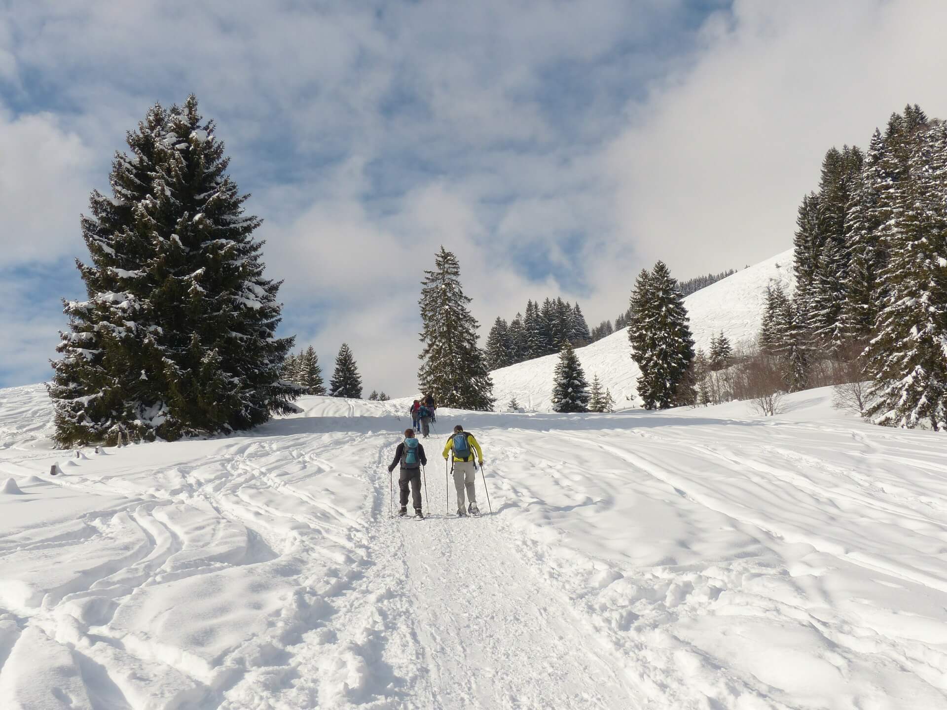 winter snow shoe adventure