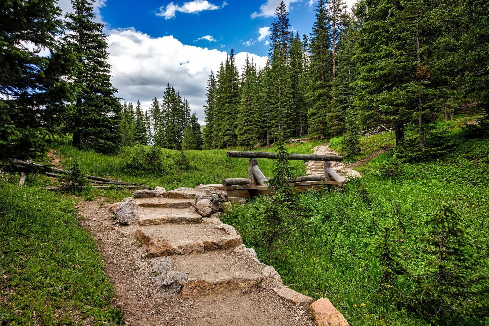 Top Hiking Tours in Rocky Mountain National Park