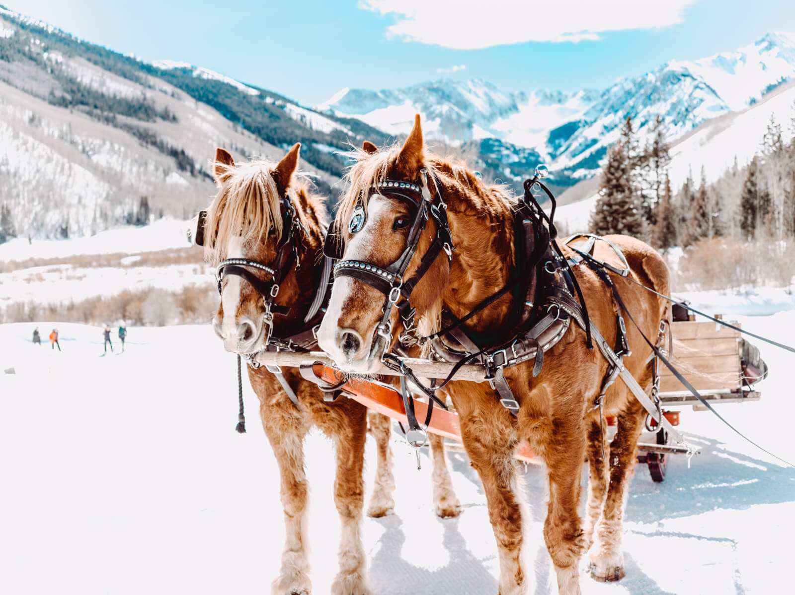 Sleigh Rides Breckenridge Colorado