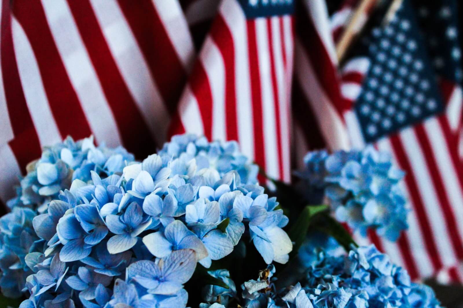 up close photo American Flag and lights blue Flowers