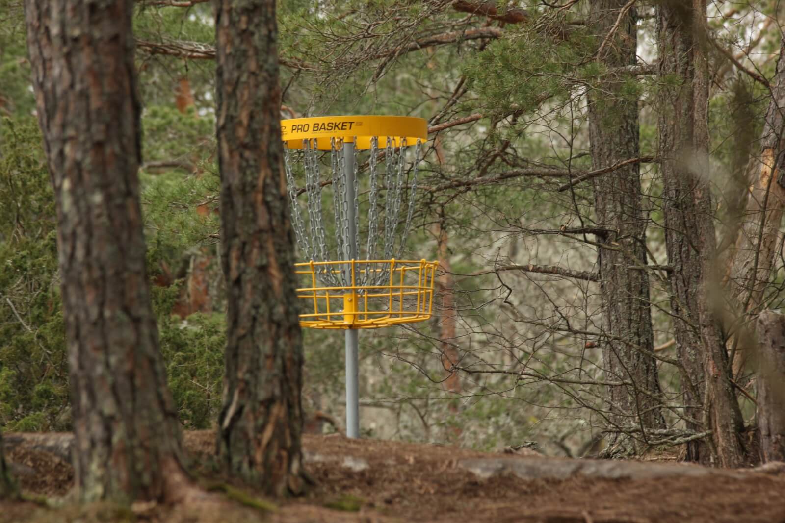 Yellow disc golf basket in the woods