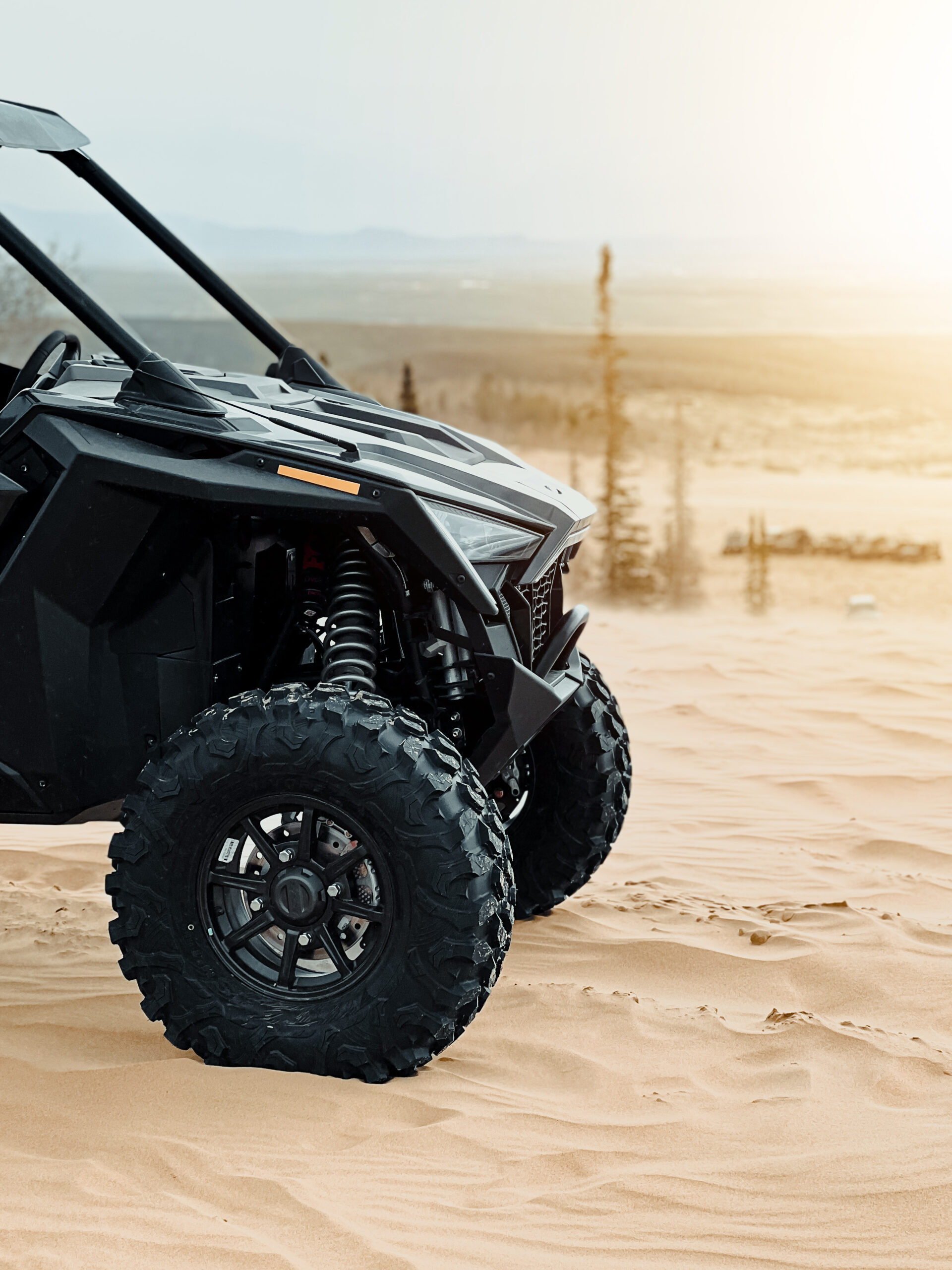 Polaris RZR UTV parked on a dune