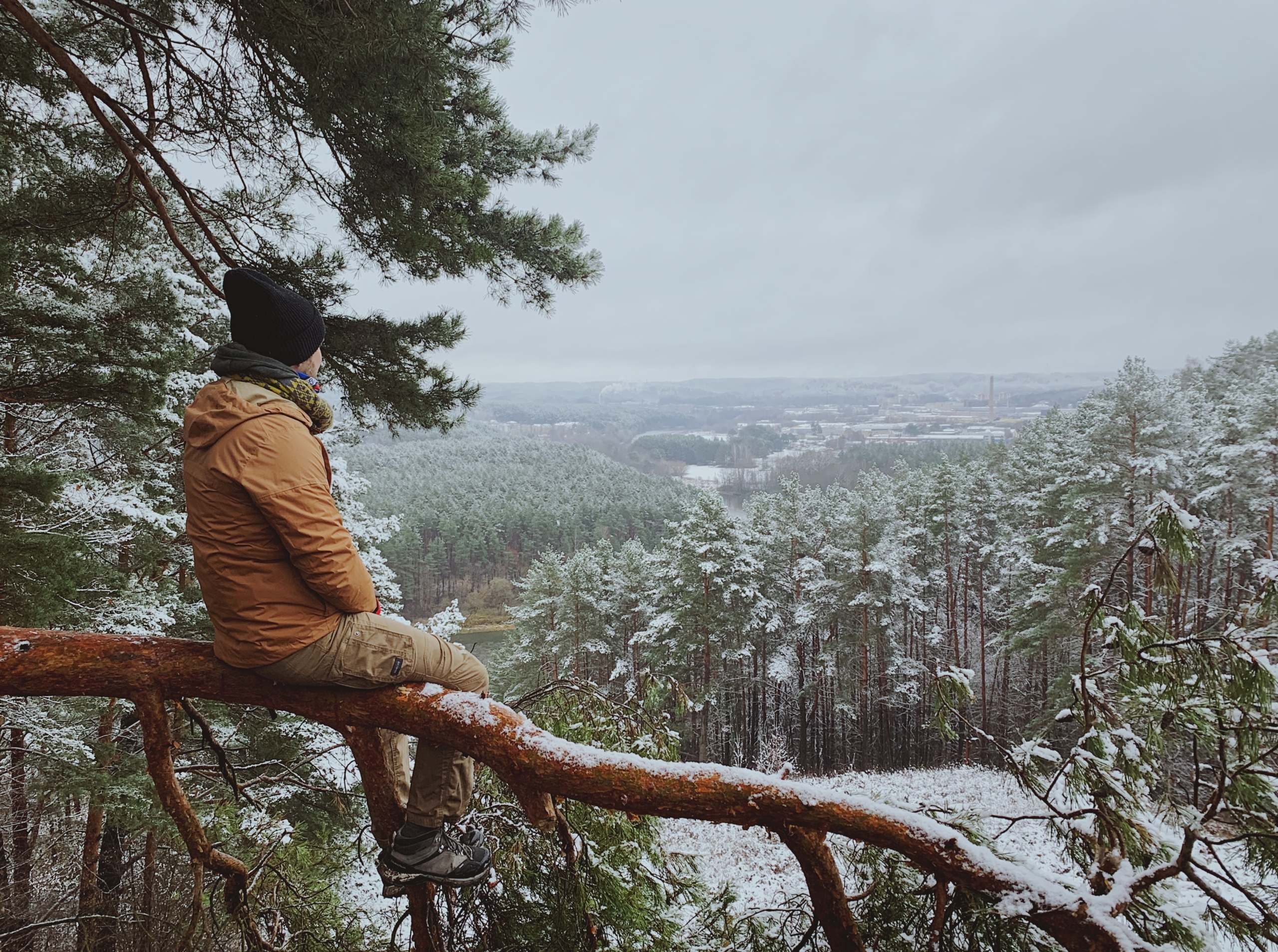 person sitting on snow covered tree