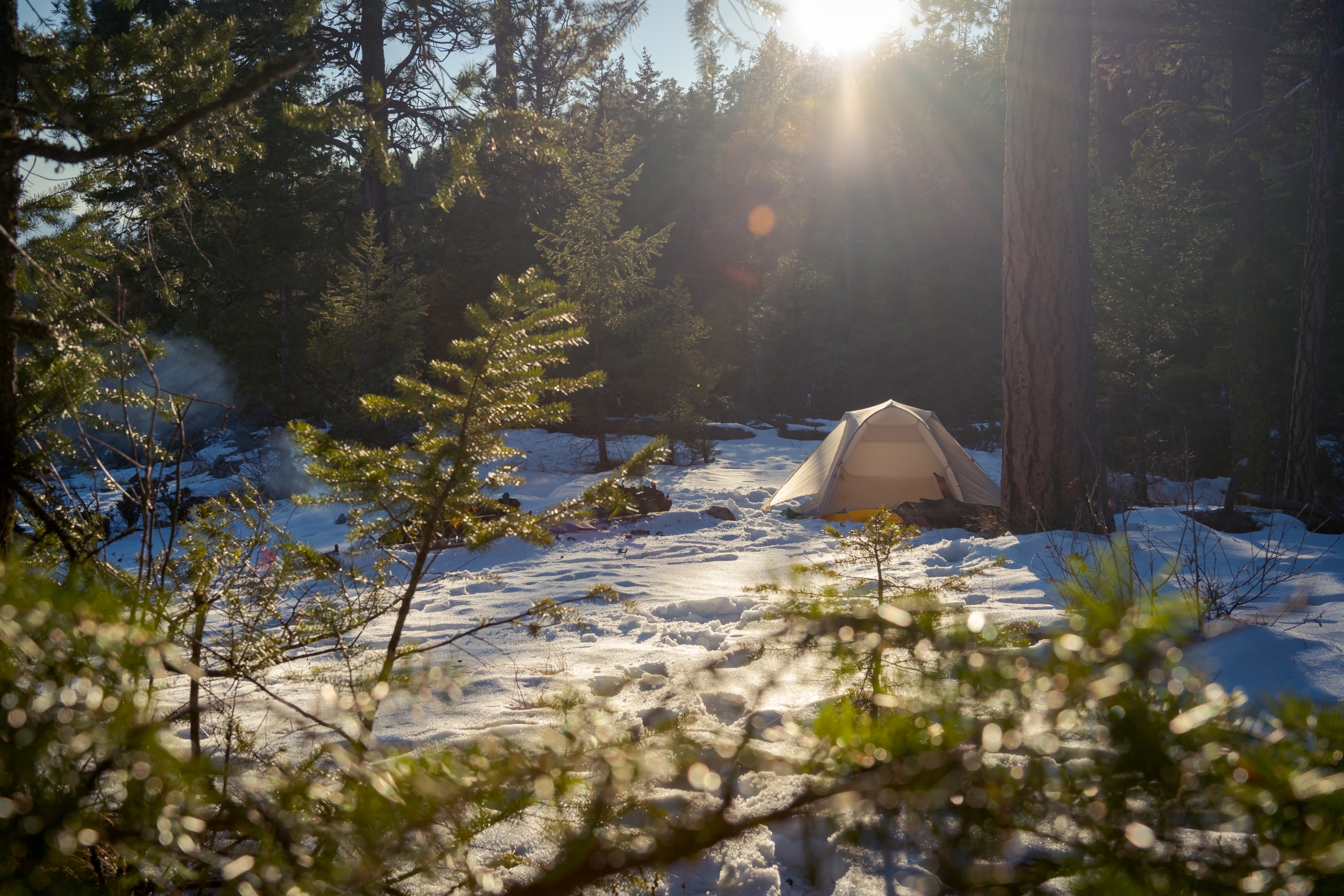 tent in snow covered landscape