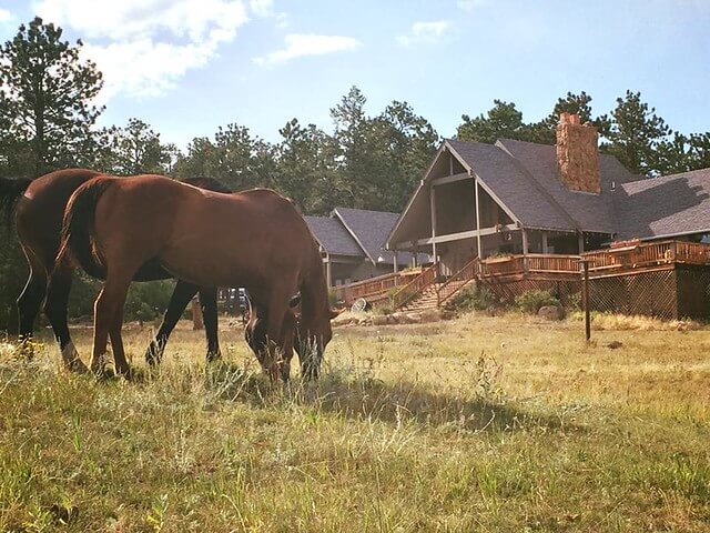 Colorado Dude Ranches