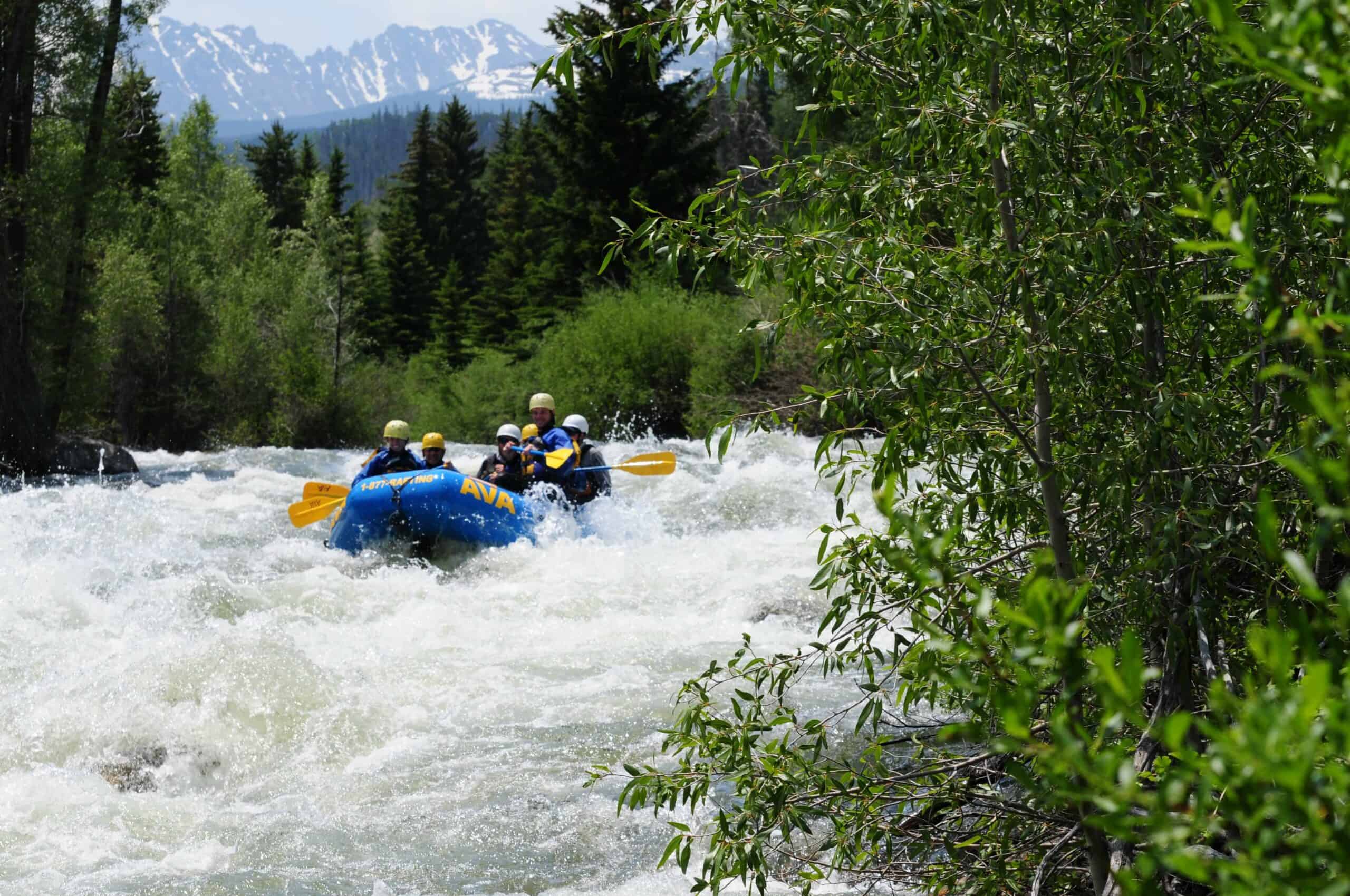 Blue River Express White Water Rafting Trip | AVA Rafting