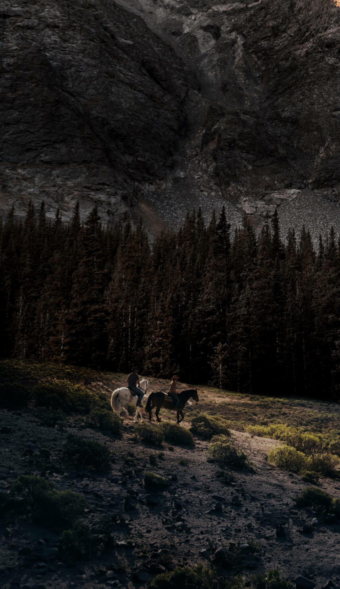Picture of horseback riders riding horses in the mountains.