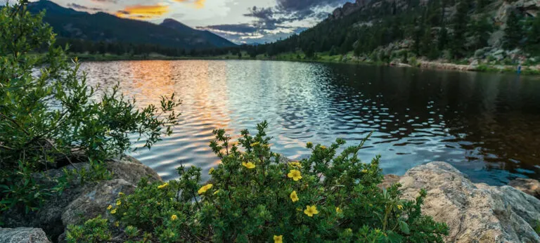 View of lake and flowers on the bank in Rocky Mountain National Park.