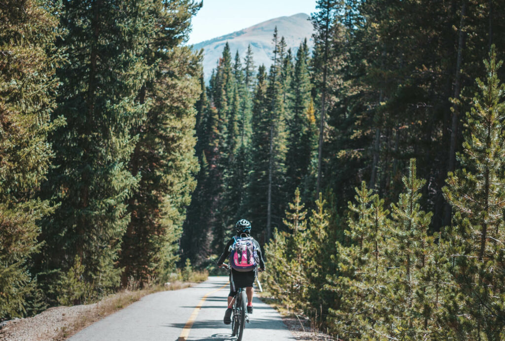 Person biking down paved bike path with trees lining either side.