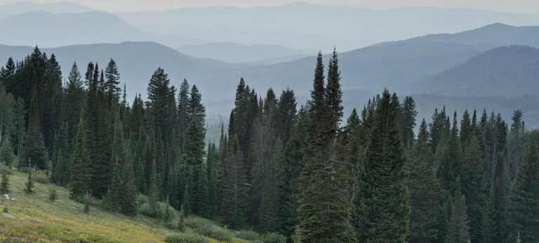 View over Rabbit Ears Pass.