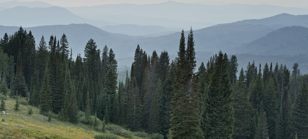 Colorado Landscape Steamboat