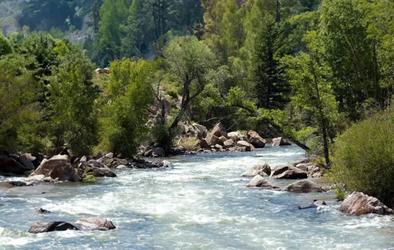 Arkansas River near Buena Vista, Colorado.