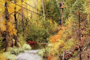 Fall Foliage in Colorado