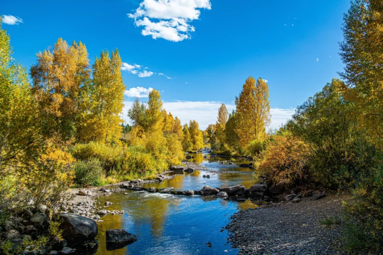 rafting trips in colorado