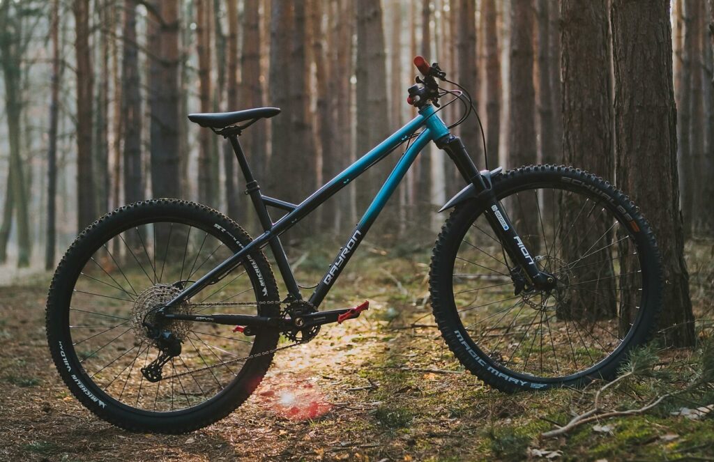 Picture of a mountain bike in forest.