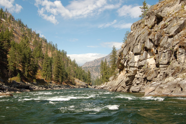 Salmon River Rapids