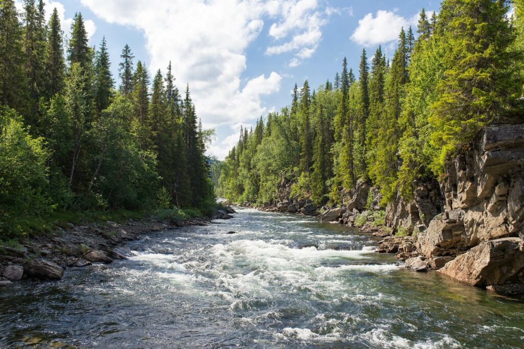 Whitewater flowing along a river in Colorado.