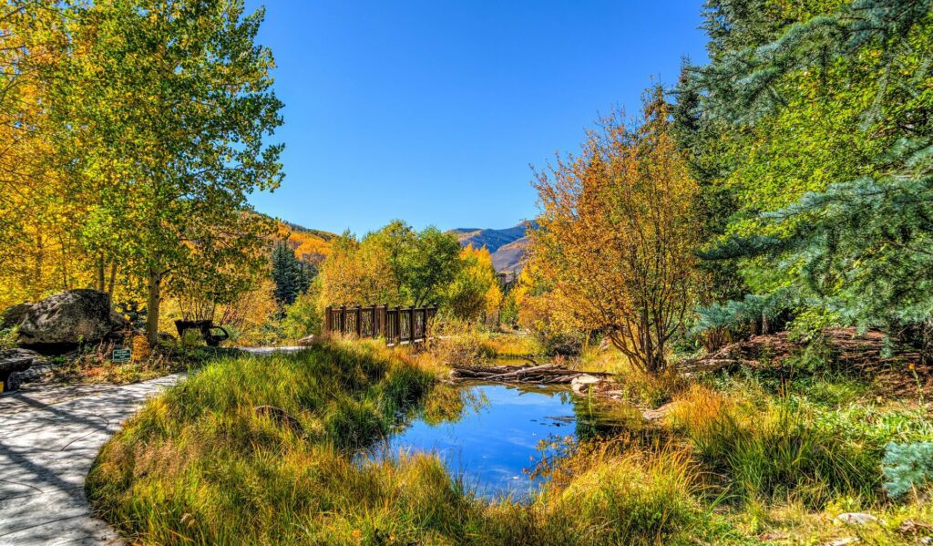 Fall in Colorado.