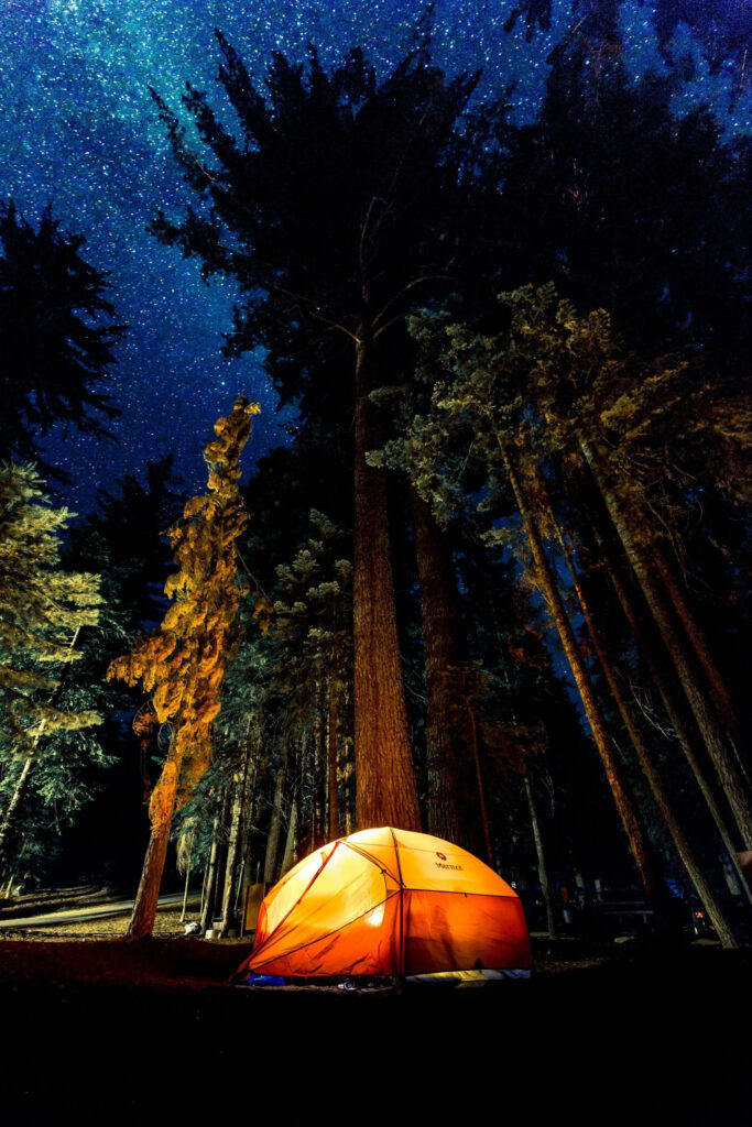 Tent with light on in forest with Milky Way visible in the sky.