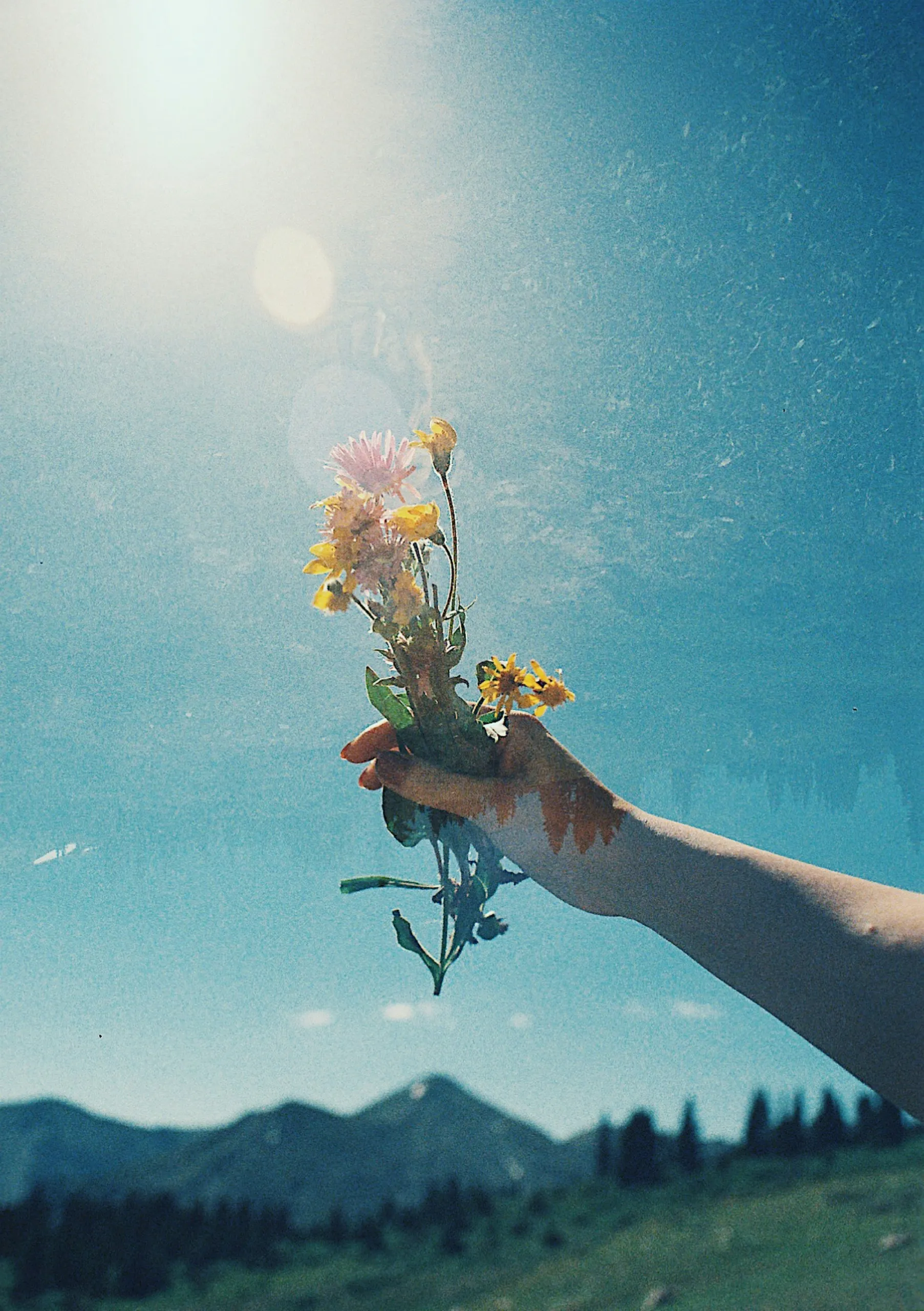person holding wildflowers in front of mountain