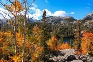 Fall Foliage In Rocky Mountain National Park
