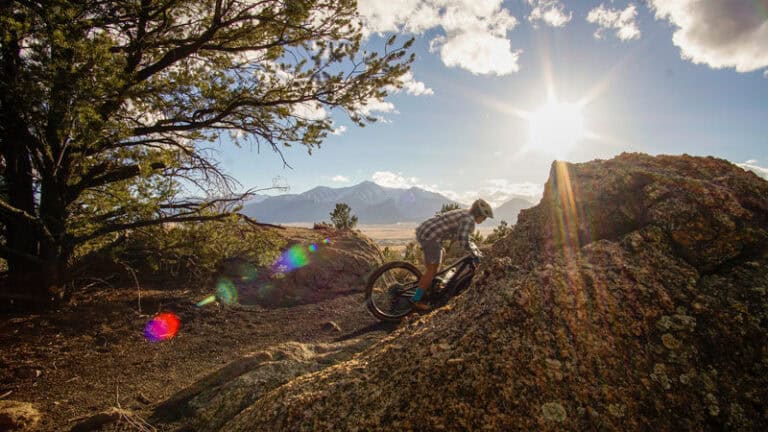 Buena Vista Full Suspension Bike
